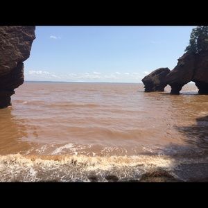 Meet your Posher, Madia